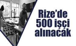 Rize genelinde 500 İşçi Alınacak!.