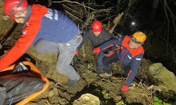 Artvin'de ormanda ağaç keserken uçurumdan düşen kişi hayatını kaybetti