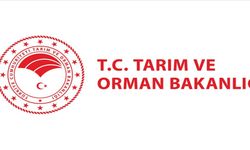 Tarım ve Orman Bakanlığı 7158 personel alacak