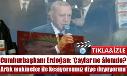 Cumhurbaşkanı Erdoğan Rize'de sordu  'Çay nasıl çay?'