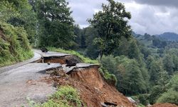 Rize'de, selde bahçedeki çayları kurtarma çabası kamerada