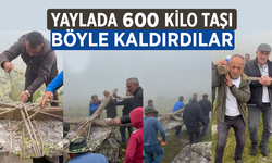 Yaylada 600 Kiloluk Taşı Böyle Taşıdılar.