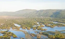 Karacabey Longozu su toplamaya başladı