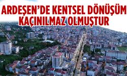 Zenginal Depremden Ders Çıkarmalıyız Dedi ve yazdı...