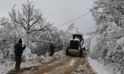 Artvin'de 58 köye halen ulaşılamıyor!