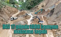 DSİ 17 günde1800 kamyon malzeme taşıdı