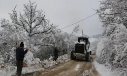 Artvin'de kar köylere ulaşımı kesti