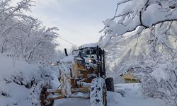 Trabzon'da 168, Giresun'da 215 yerleşim yolu, kardan kapandı