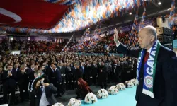 Cumhurbaşkanı Erdoğan: Karadeniz'in azmi ile çalışmaya devam