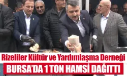 Rizeliler Kültür ve Yardımlaşma Derneği Bursa'da 1 ton hamsi dağıttı