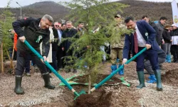 Artvin'de 21 Mart'a özel fidan dikimi