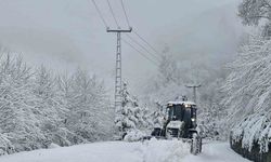 Trabzon’da 124 mahalle yolu kar nedeniyle ulaşıma kapandı