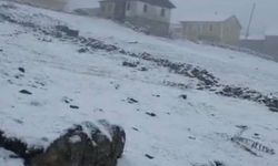 Doğu Karadeniz yaylalarında kış bitmiyor