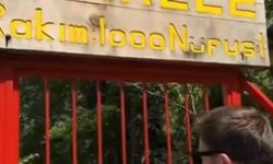 Rize’nin ‘Kendini koruyan mahalle’si sosyal medyada ilgi odağı oldu