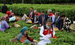 Tarım Bakanı Rize'deydi, çay kotasını açıkladı