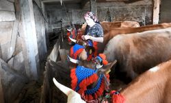 Karadeniz’de türkülü manili renkli yayla göçü