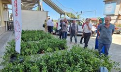 Rize’de 9 bin 500 maviyemiş fidanı üreticilere dağıtıldı