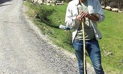 Trabzonlu çoban Gümüşhane’de kene ısırması sonucu hayatını kaybetti