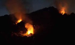 Karadeniz Ereğli’deki orman yangını 3,5 saat sonra kontrol altına alındı