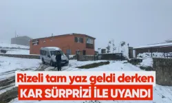 Rizeli tam yaz geldi derken kar sürprizi ile uyandı