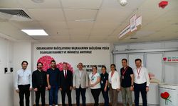 Trabzon’daki kamu hastanesi merkezinde organ nakli başarıyla yapıldı