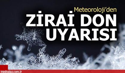 Meteorolojiden Karadeniz'de Zirai Don Uyarısı