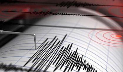 Gürcistan'da deprem! Türkiye'de de hissedildi!