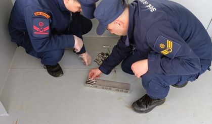 Rize'de yasal boy sınırı altındaki 30 ton hamsiye el konuldu