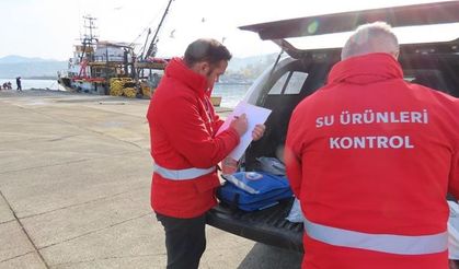 Trabzon’da belirlenen limitlerin altında avlanan balıkçılara 2 milyon 390 bin TL para cezası