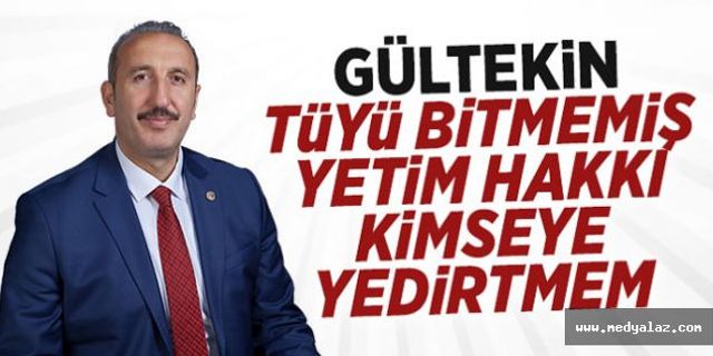 Hakan Gültekin ; Tüyü Bitmemiş Yetim Hakkı Yedirtmem