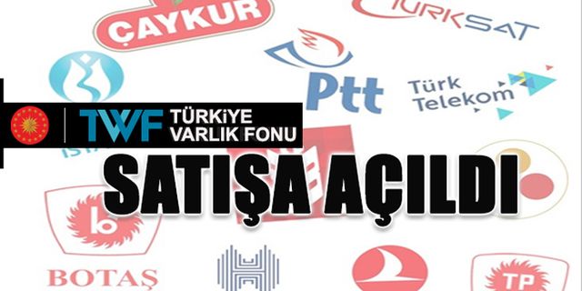 Resmi Gazete'de Yayımlandı: Türkiye Varlık Fonu Satışa Açıldı