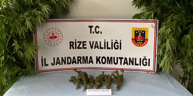 Rize'de Jandarma'dan Uyuşturucu Operasyonu