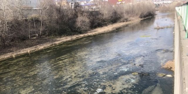 Karabük'te Araç Çayı'na atılan kasalarca ölü hamsi çevre kirliliğine neden oldu