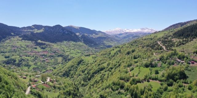 İlkbaharla yeşilin tonlarına bürünen Doğu Karadeniz yaylaları büyülüyor