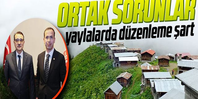 Düzenleme şart yaylalarda