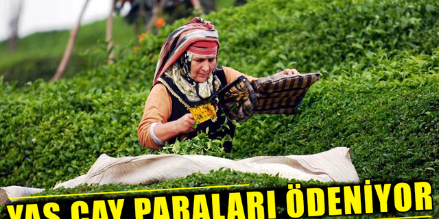 Mayıs Ayı Çay Paraları Ödeniyor