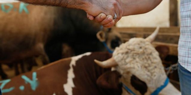 Kurban kesimi usullerini açıkladı