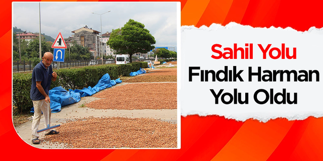 Sahil Yolu fındıkçılar için harman yeri oldu