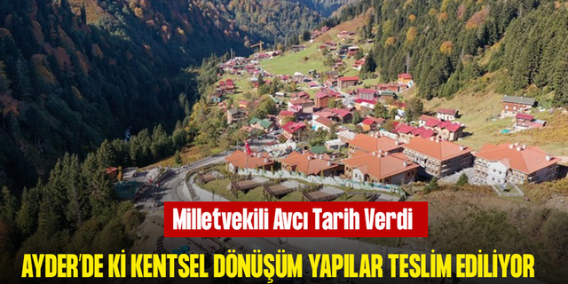 Avcı: Ayder'de kentsel dönüşüm kapsamında ilk yapılar kışın hak sahiplerine teslim edilecek
