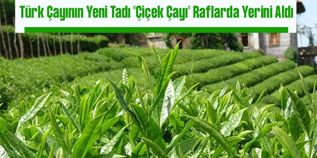 Türk çayının yeni tadı "çiçek çayı" raflarda yerini aldı