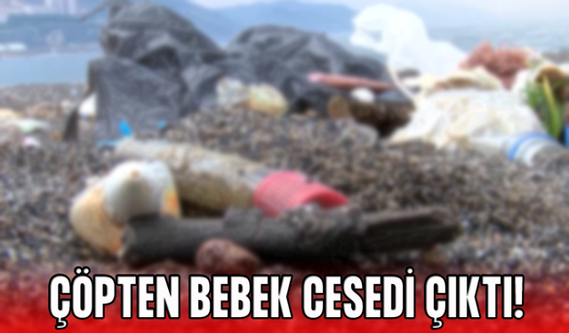 Rize ve Trabzon'un Çöplerinin Toplandığı Tesiste Bebek Cesedi Bulundu