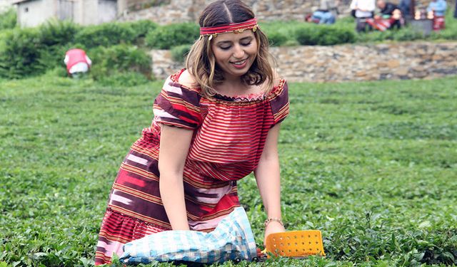 Giresun’da kemençe ve horon eşliğinde çay hasat şenliği yapıldı