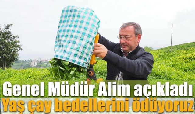 Genel Müdür Alim çay paralarının ödeneceği tarihi açıkladı