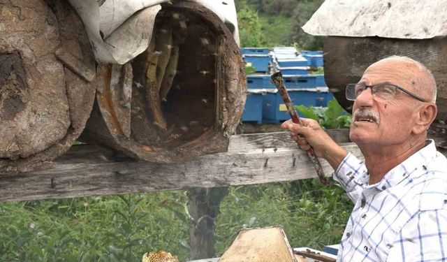 Rize’de karakovan balının hasadı tamamlandı, fiyatı belirlendi