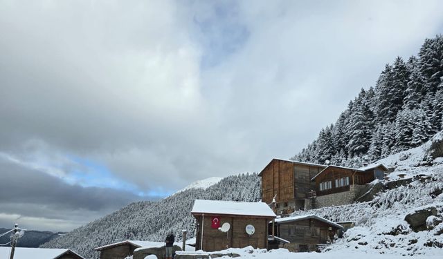 Rize'nin yüksek kesimleri beyaza büründü