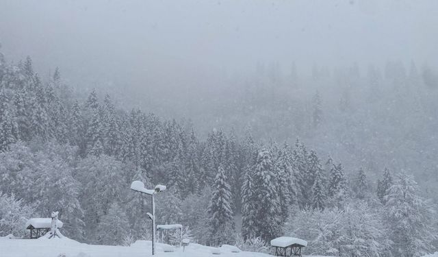 Karadeniz'de kar esareti; 442 köy ve mahalle yolu kapandı, okullar tatil