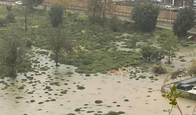 Rize Çayeli'nde heyelan! CHP: Bu tür afetler kader değil, basiretsizliktir!