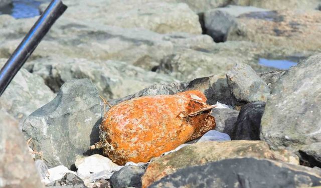 Fırtında dalgaların getirdiği deniz mühimmatı Rize’de karaya vurdu