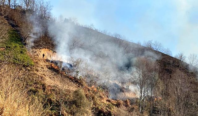 Rize’de anız ateşi ormana sıçradı