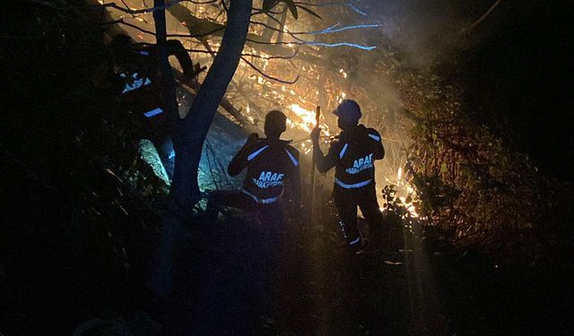 Rize'de anız yangını ormana sıçradı; 15 dönüm alan zarar gördü